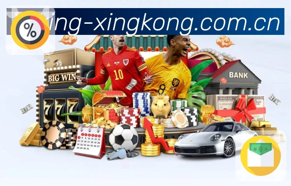 关于 星空体育app